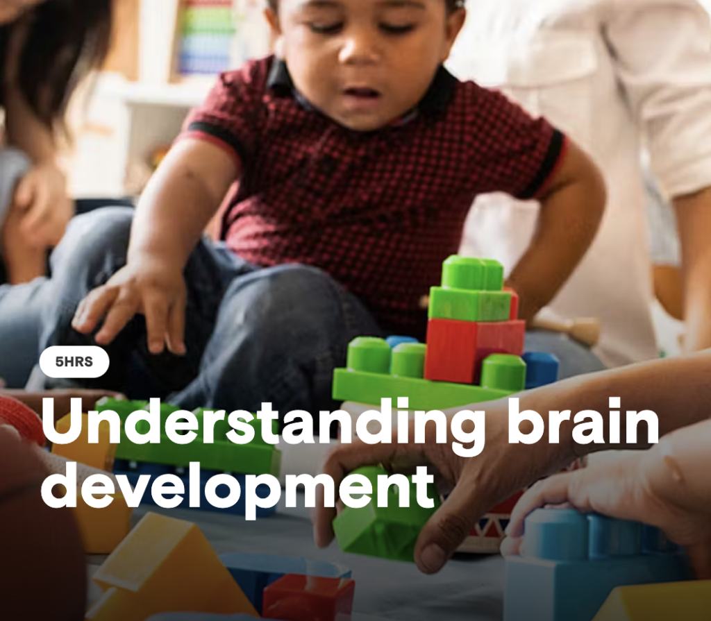 Understanding Brain Development