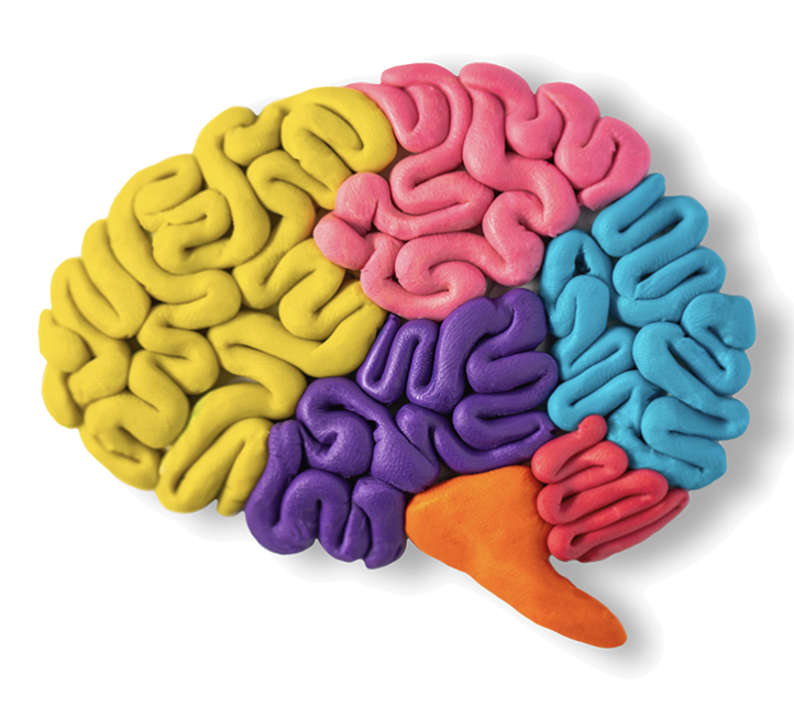 Brain Builders icon